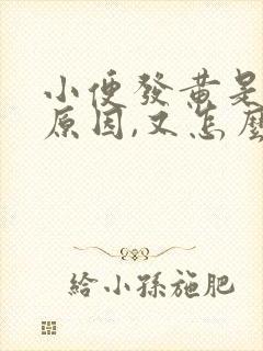 小便发黄是什么原因,又怎么解决?