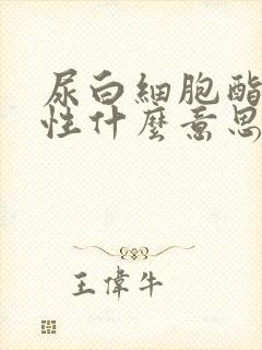 尿白细胞酯酶阳性什么意思