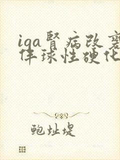 iga肾病改变伴球性硬化及新月体形成