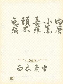 龟头长小肉粒不痛不痒怎么治疗