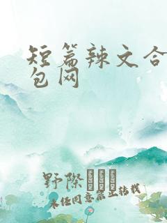 短篇辣文合集书包网