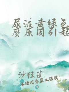 尿液黄绿色是什么原因引起的女性