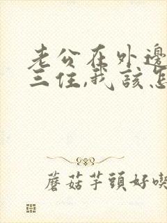 老公在外边和小三住,我该怎么办