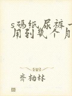 s码纸尿裤一般用到几个月