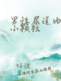 男性尿道内有一小颗粒