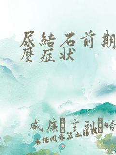 尿结石前期是什么症状