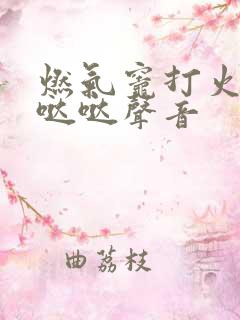 燃气灶打火没有哒哒声音