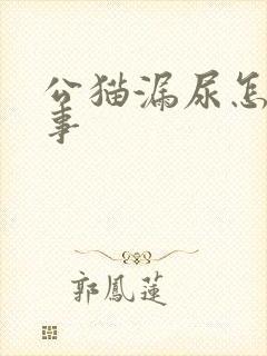 公猫漏尿怎么回事