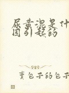 尿黄混是什么原因引起的