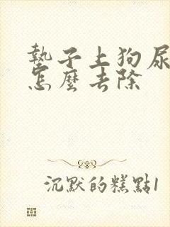 垫子上狗尿骚味怎么去除