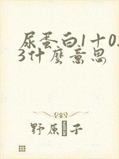 尿蛋白1十0.3什么意思