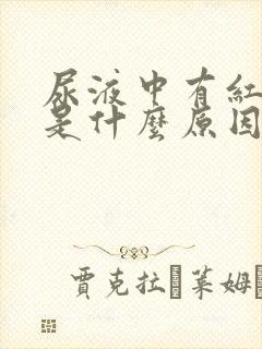 尿液中有红细胞是什么原因