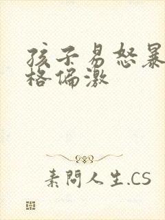 孩子易怒暴躁性格偏激