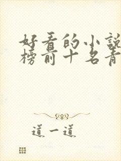 好看的小说排行榜前十名青春