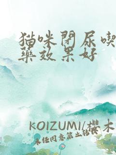 猫咪闭尿吃什么药效果好