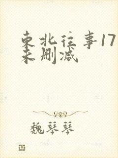 东北往事17集未删减