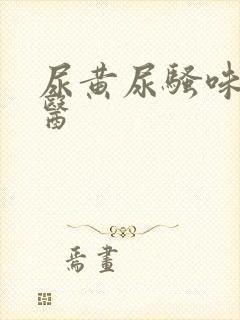 尿黄尿骚味重中医