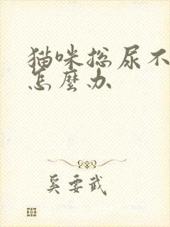 猫咪总尿不出尿怎么办