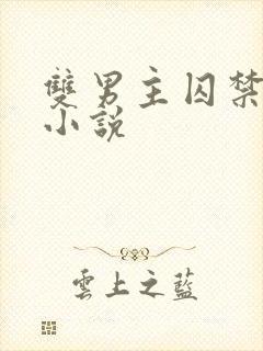 双男主囚禁调教小说