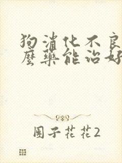 狗消化不良吃什么药能治好