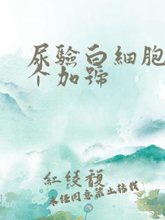 尿验白细胞有1个加号