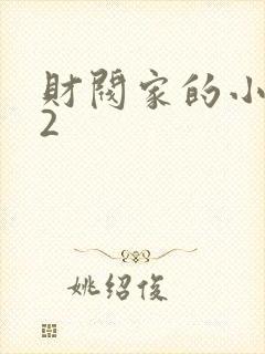 财阀家的小儿子2