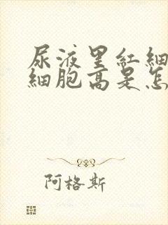 尿液里红细胞白细胞高是怎么回事