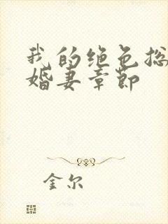 我的绝色总裁未婚妻章节