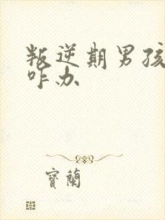 叛逆期男孩厌学咋办