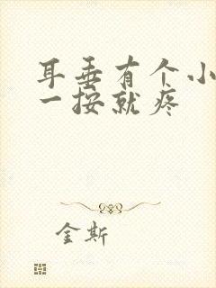 耳垂有个小鼓包一按就疼