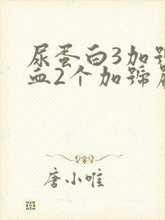 尿蛋白3加号潜血2个加号严重吗