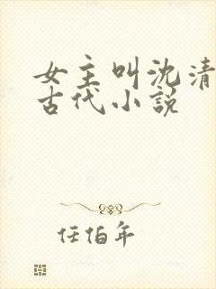 女主叫沈清欢的古代小说