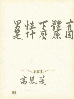 男性下体有臭味是什么原因引起的