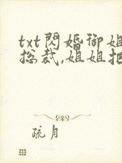 txt闪婚御姐总裁,姐姐把我宠上天下载