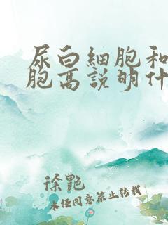 尿白细胞和红细胞高说明什么问题