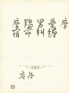 摩羯男爱摩羯女宿命纠缠