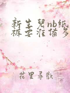 新生儿nb纸尿裤要准备多少