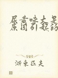 尿黄味大是什么原因引起的