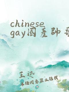 chinesegay国产帅哥1069