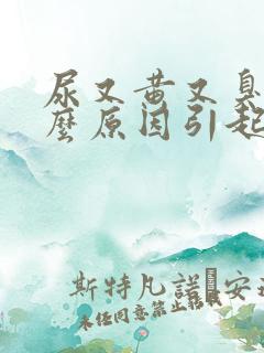 尿又黄又臭是什么原因引起的