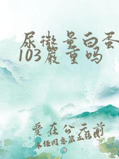 尿微量白蛋白高103严重吗