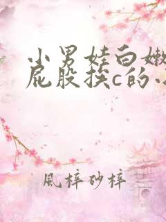 小男娃白嫩嫩光屁股挨c的小说