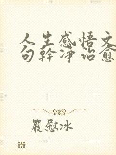 人生感悟文案短句干净治愈