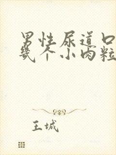 男性尿道口长了几个小肉粒