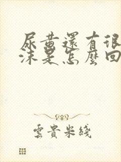 尿黄还有很多泡沫是怎么回事