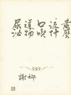 尿道口流黄色分泌物吃什么好