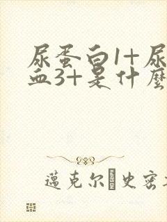 尿蛋白1+尿潜血3+是什么意思