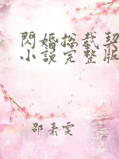 闪婚总裁契约妻小说完整版免费