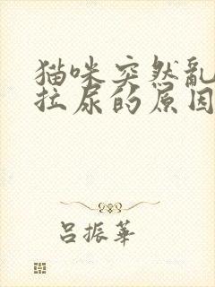 猫咪突然乱拉屎拉尿的原因