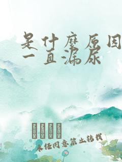 是什么原因导致一直漏尿